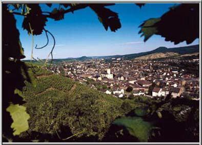 Hotel Rhein Inn Ремаґен Екстер'єр фото